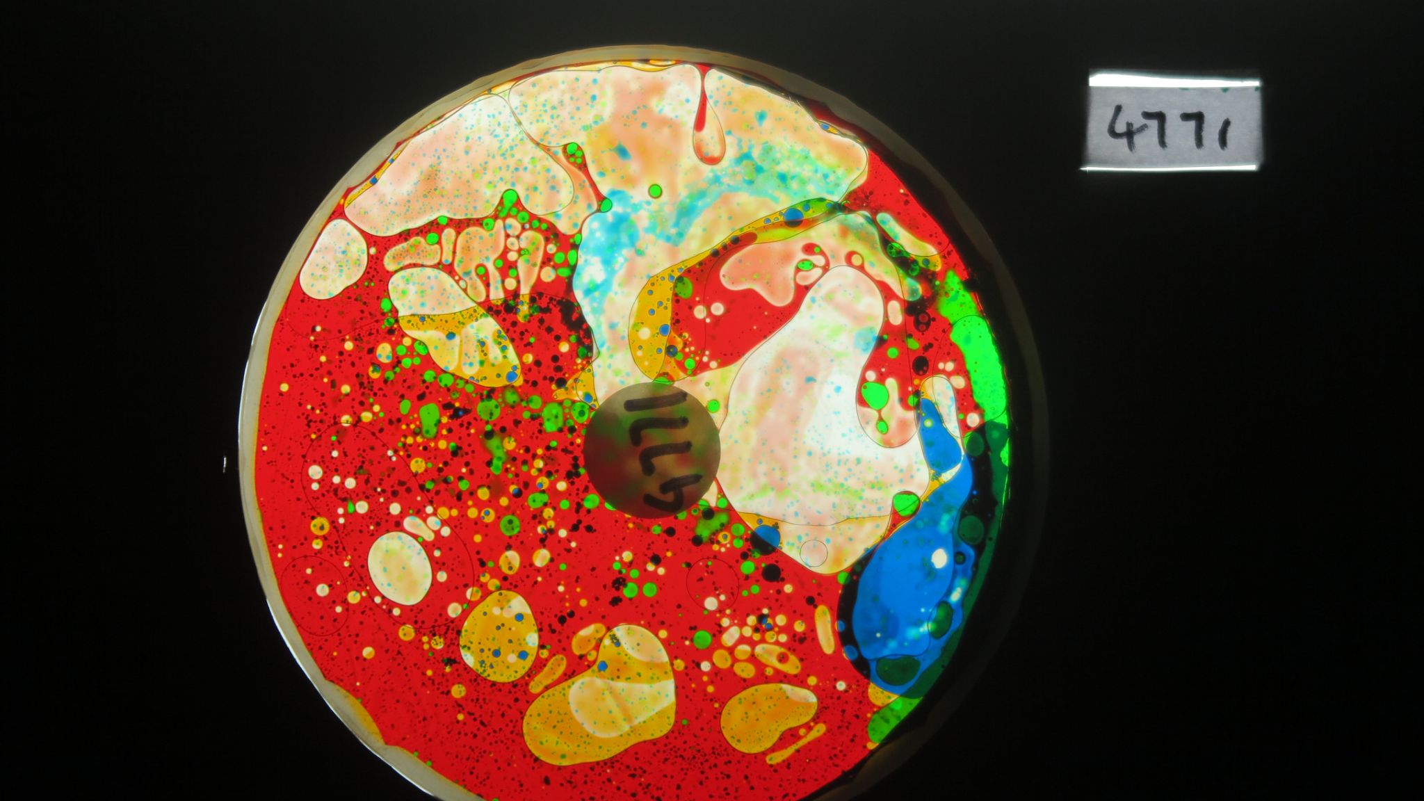 BV4771 bubble vision oil wheel